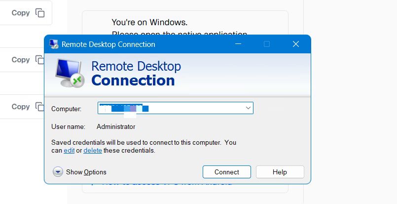Remote Desktop Connection 